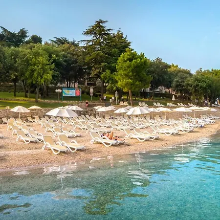 Resort Tourist Settlement Belvedere